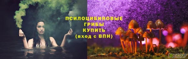 твердый Алексеевка