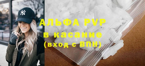 стаф Алексин