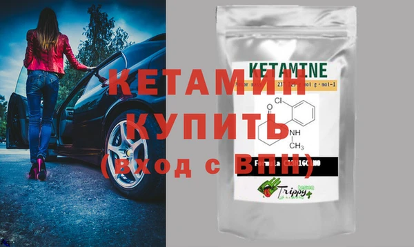 стаф Алексин